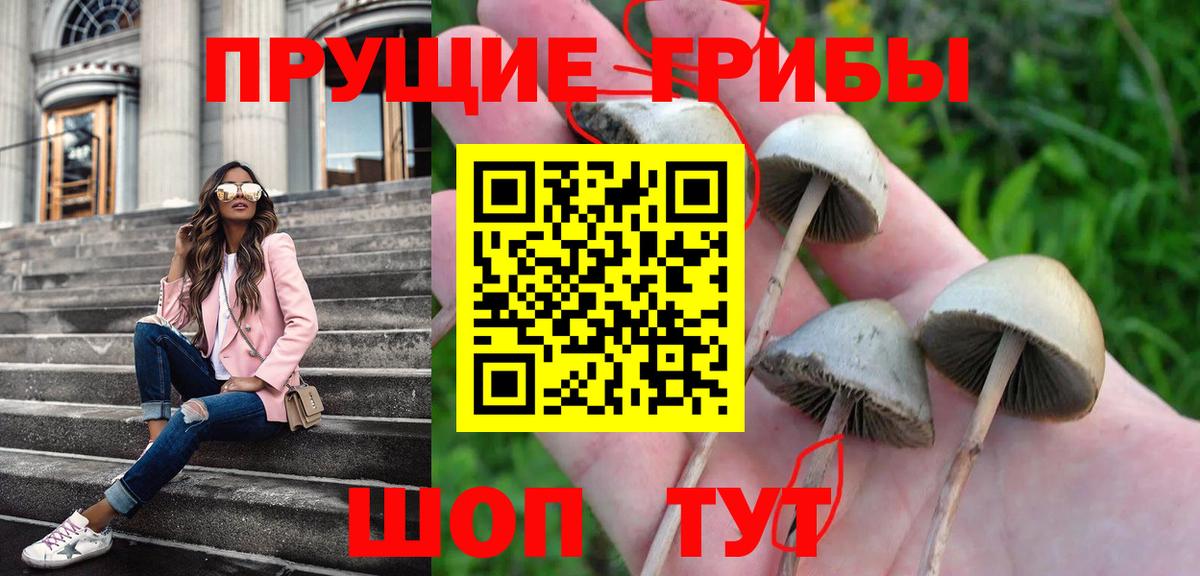 Галлюциногенные грибы Magic Shrooms  Псилоцибиновые грибы мицелий  Новосибирск  Вход с VPN 